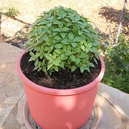 Stella Appartement Patitiri